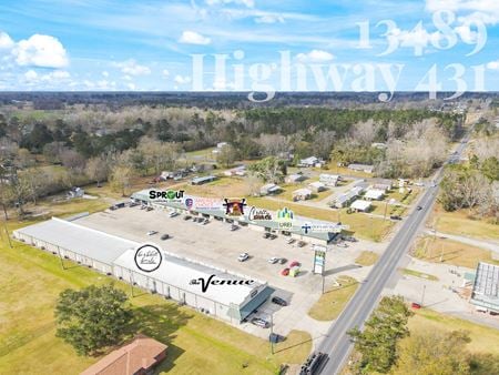 Preview of Retail space for Sale at 13489 Hwy 431