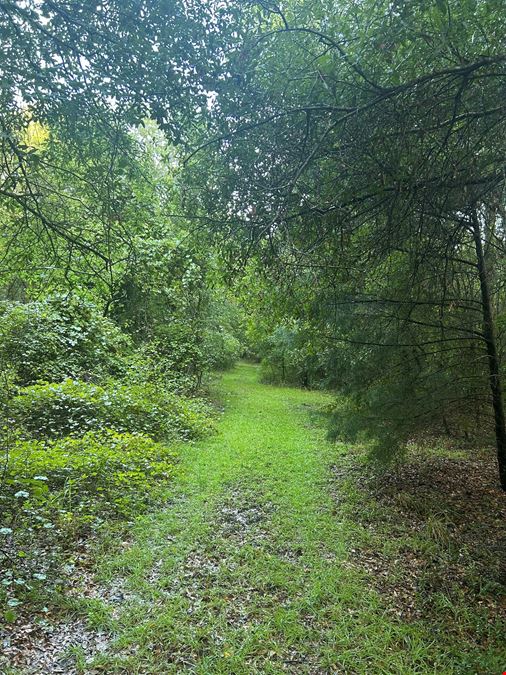 Fort White 58.7 Acres