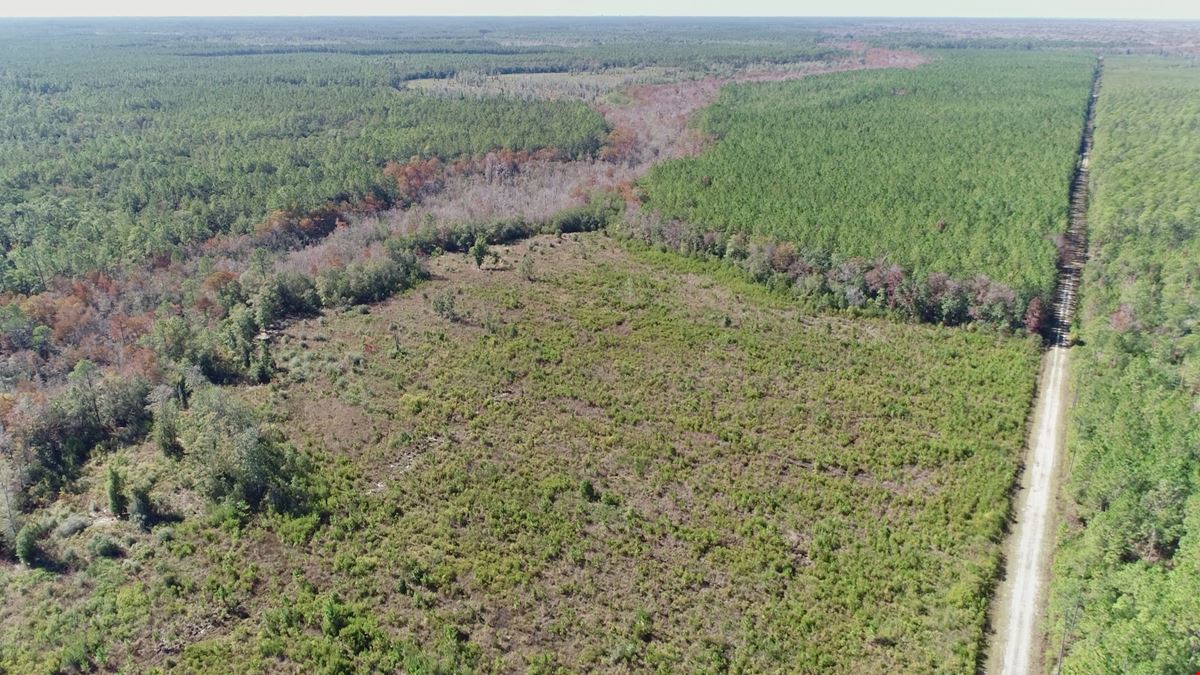 580 Acres of Recreation Land in Bay County, FL