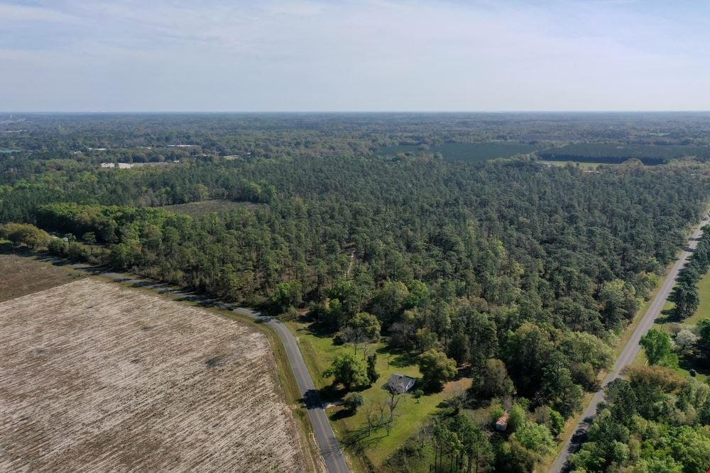 Live Oak 145 Acre Development Parcel