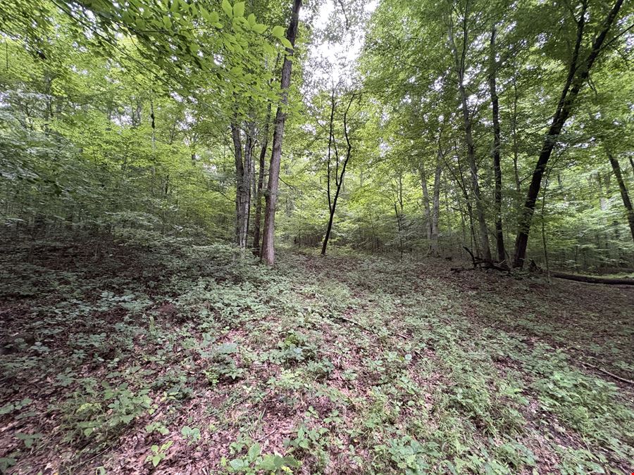 Tract 1 - 50.19± Acres - Knox Ln, Clarksville TN