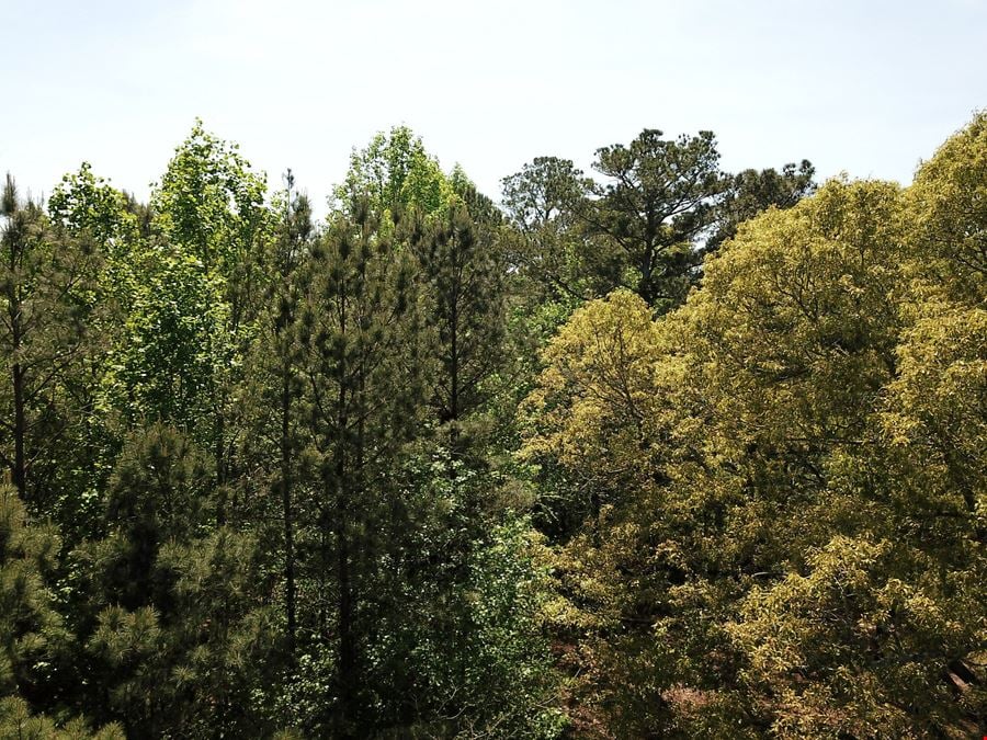 Waddell Road - 7 Acres