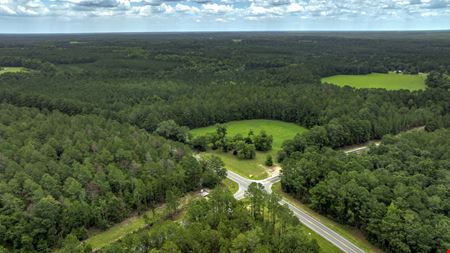 Preview of VacantLand space for Sale at GA Highway 169 and Hendrix Bridge Road