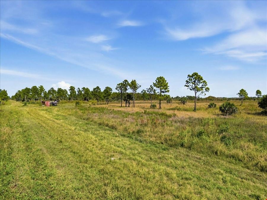 Big Cypress Preserve