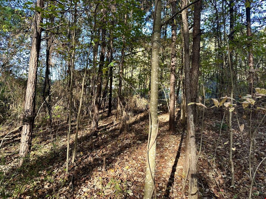 Highway 27 - 10.69 Acres