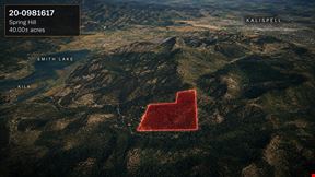 40.00± AC Spring Hill Timber & Recreation Opportunity Near Kalispell