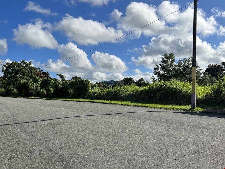 Las Piedras Industrial Park - Vacant Lots 12 & 13 - For Sale