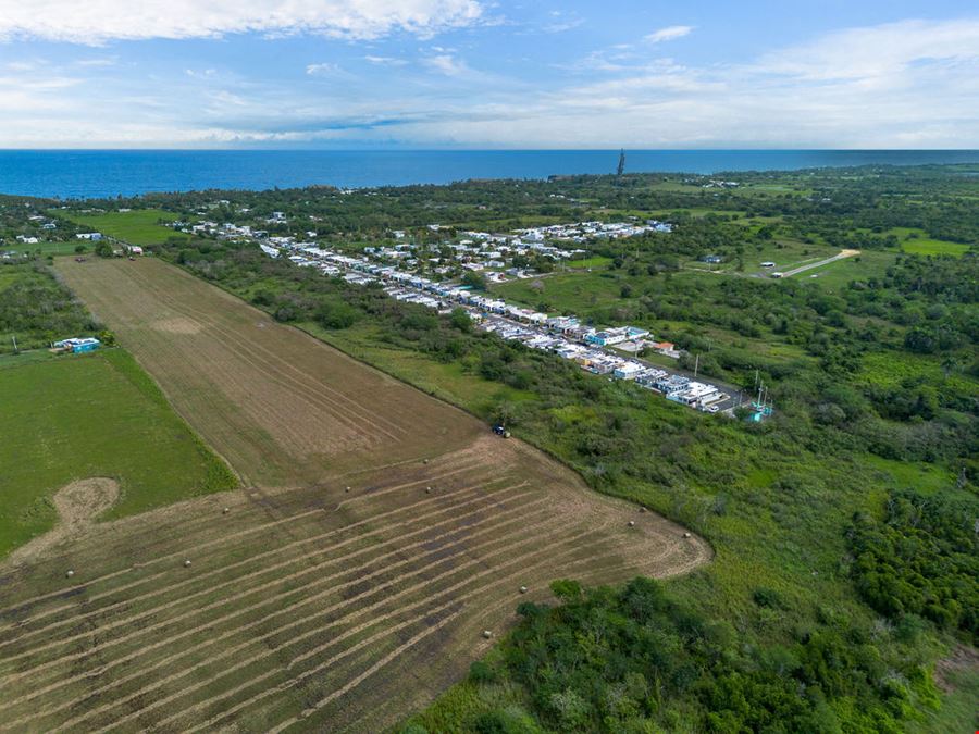 Residential Development Opportunity in Arecibo - 13.65 Acre Land