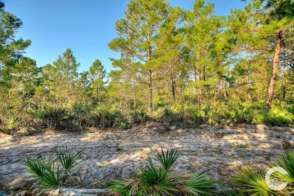 6.34 Acre Residential Homesite in Frostproof, FL