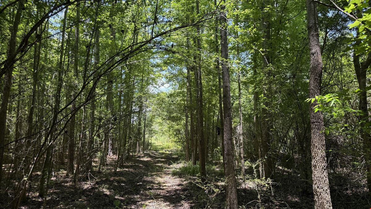 42.02 Acres | Residential Development Opportunity in Dothan, AL