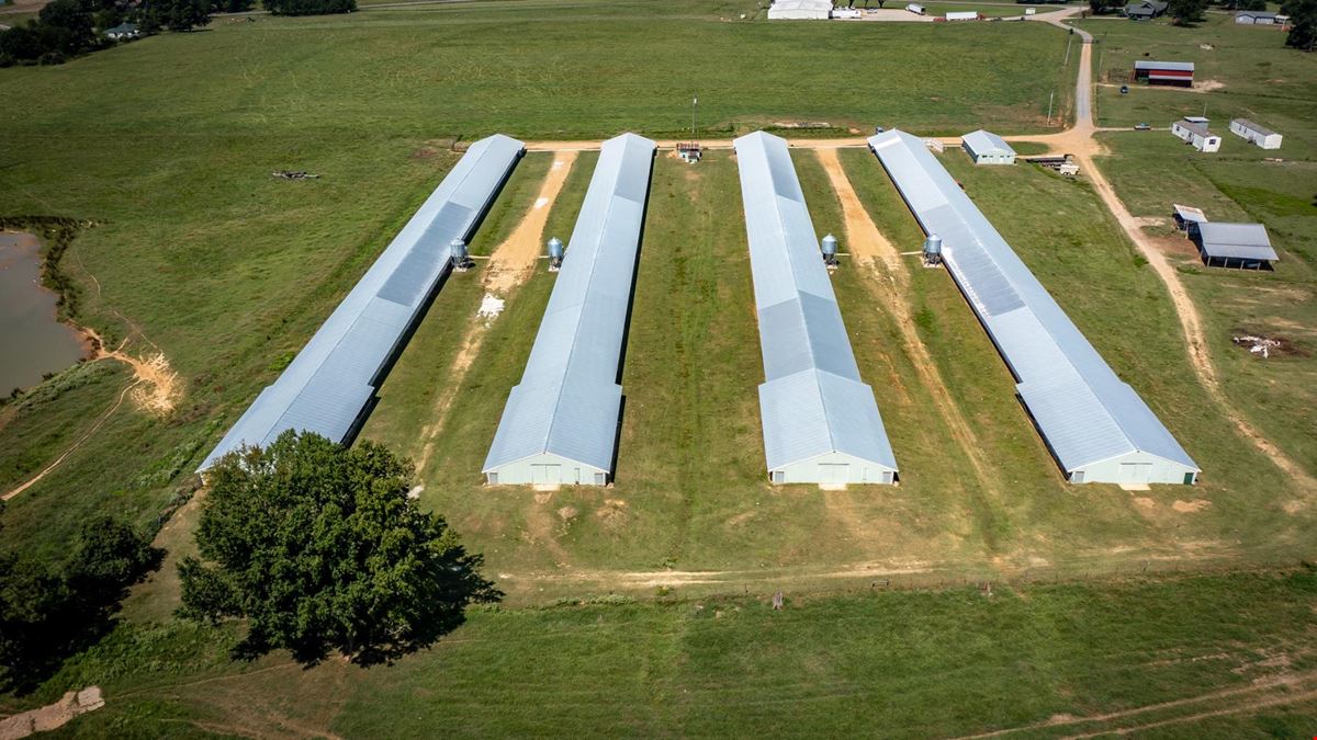 Hope Arkansas Chicken Farm