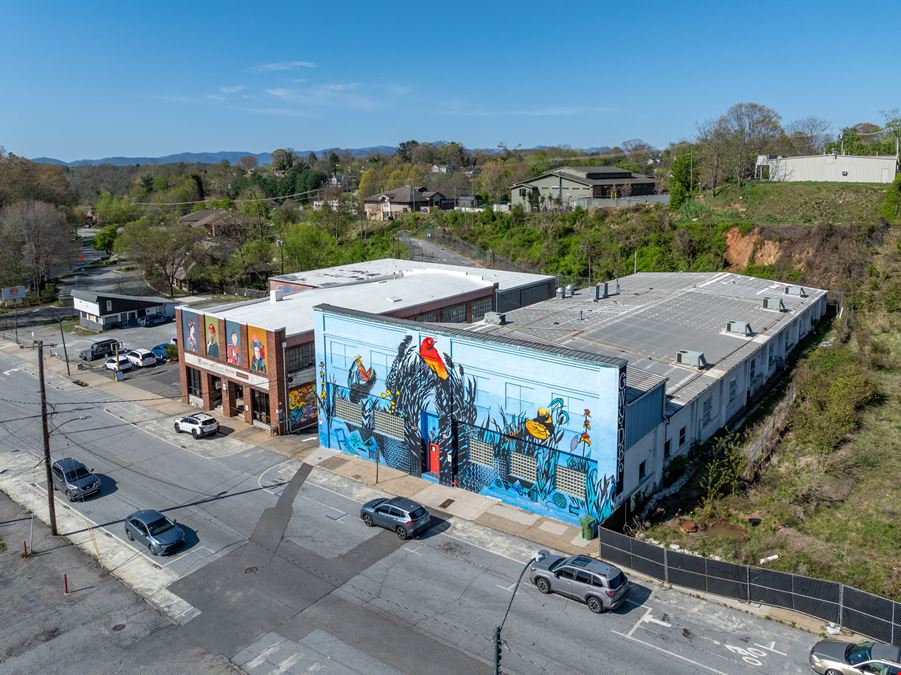 Downtown Asheville Portfolio