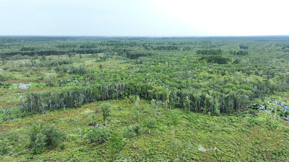 Camden Satilla River Tract