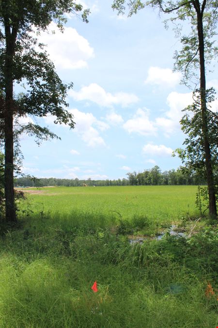 8.5 Acres - Airport Road Near Fox Hall - 2 Access Points available