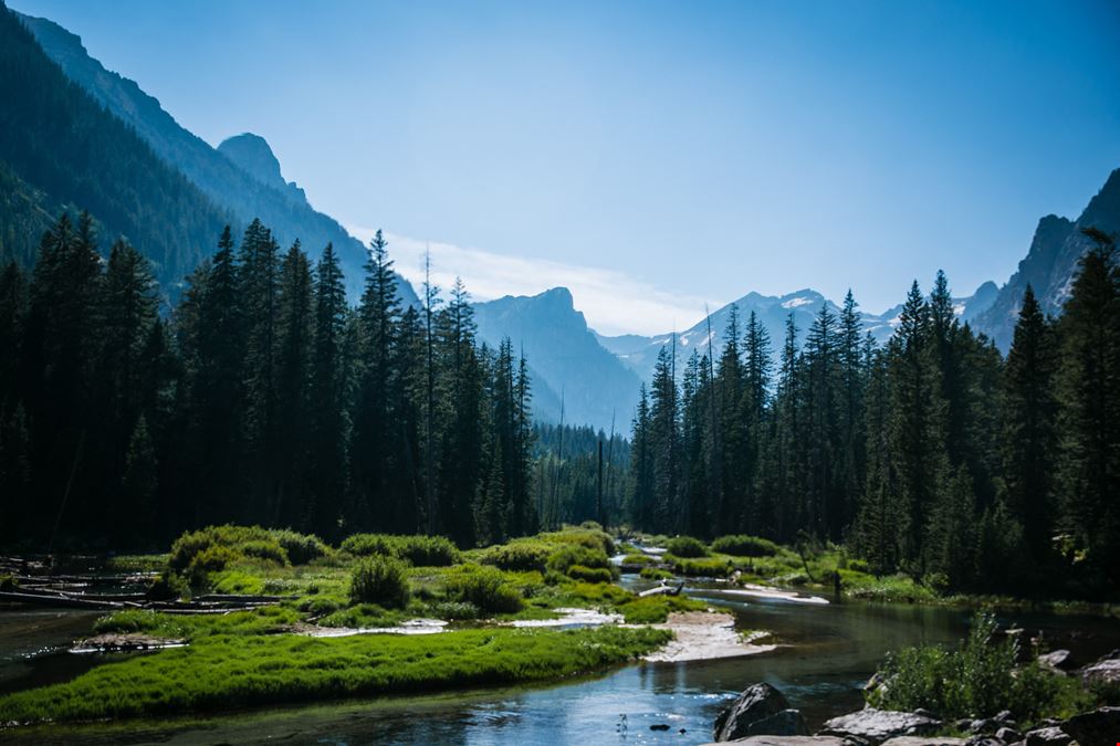 A Classic Montana Forty: 40 Wooded Acres near Kalispell