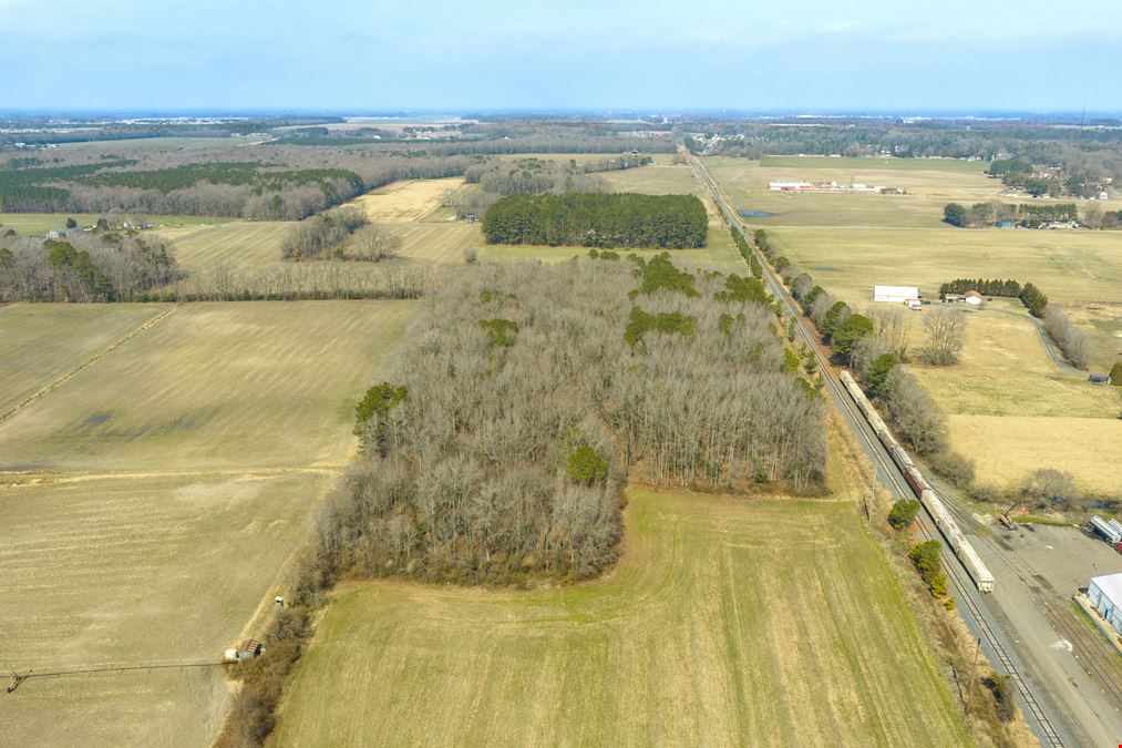 Delmar Agricultural 35.88+/- Acres