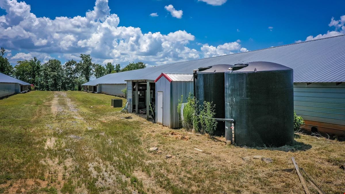 Mena AR Broiler Chicken Farm