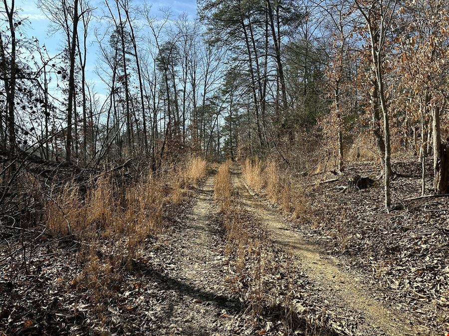 Published Reserve Auction of 53 Acres, with Lakefront, on Lake