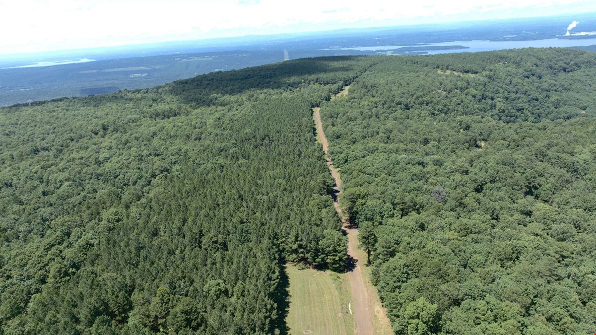 Spring Mountain Airstrip Lot