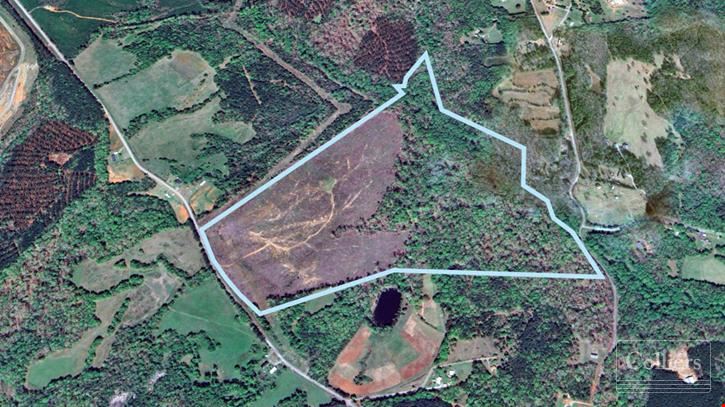 ±116.15-Acre Tract for Sale - 35 Minutes to Downtown Greenville