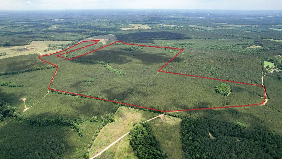 +/- 323 Acre Wooded Tract - Saluda County SC