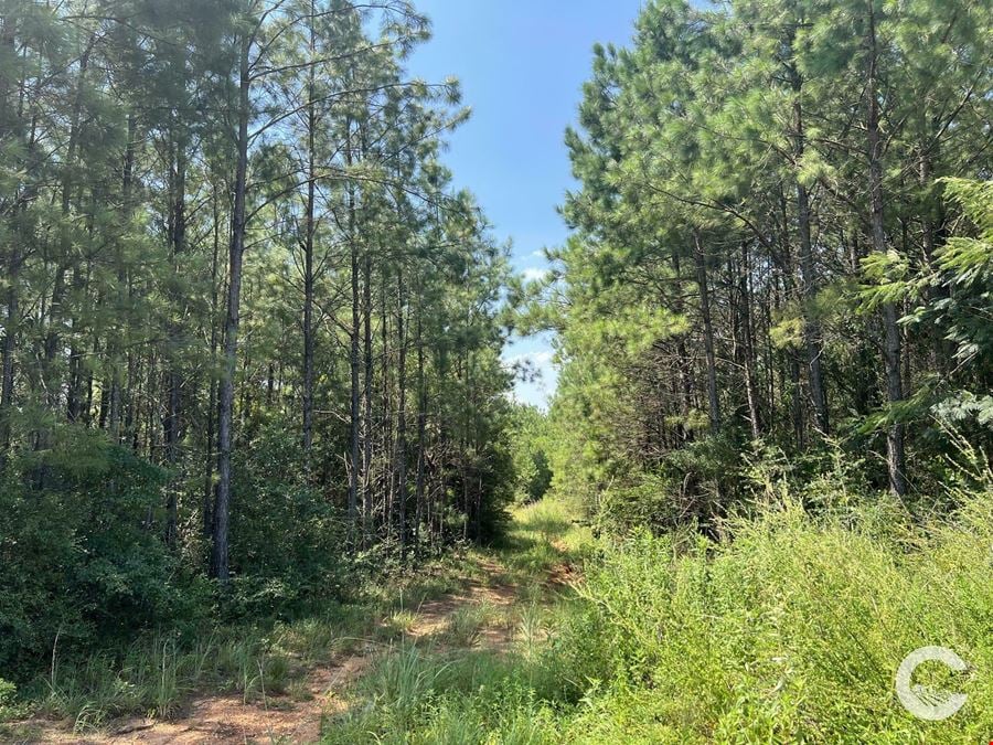 256 +/- Acre Investment Opportunity in Brewton, AL