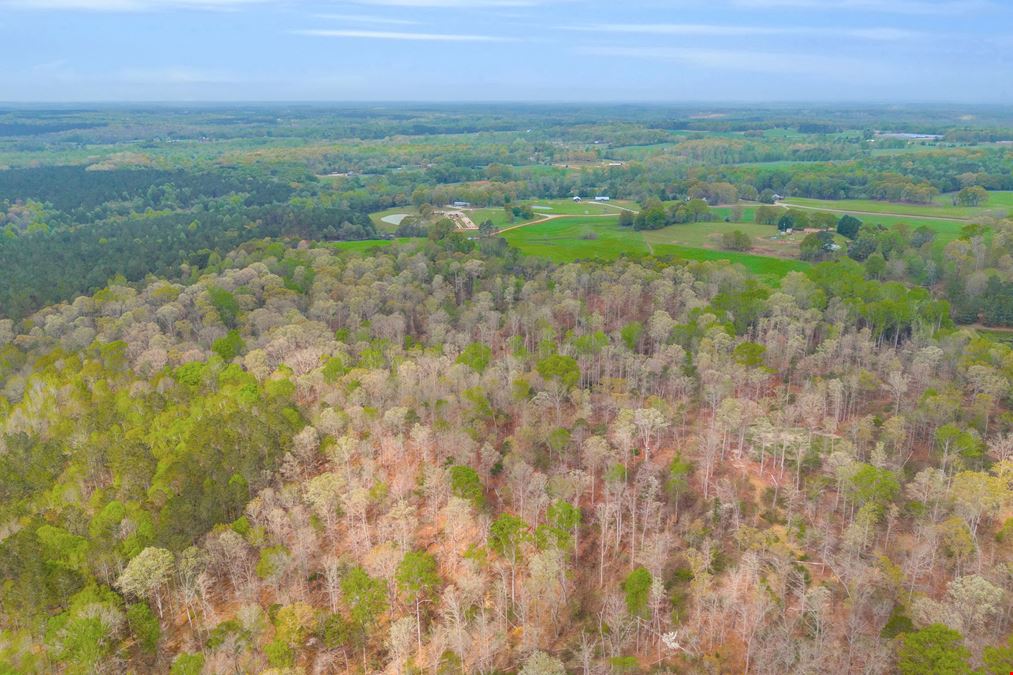 24+/- ACRES LAND FOR SALE MADISON COUNTY