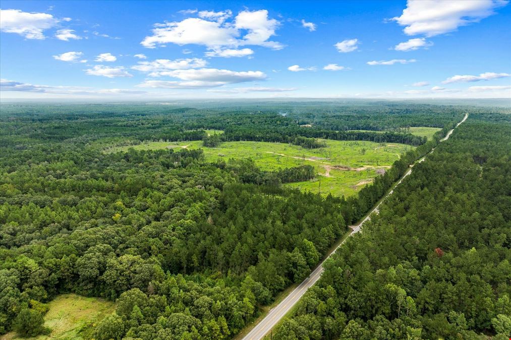 10 Acres - Celeste Rd., Chunchula, AL