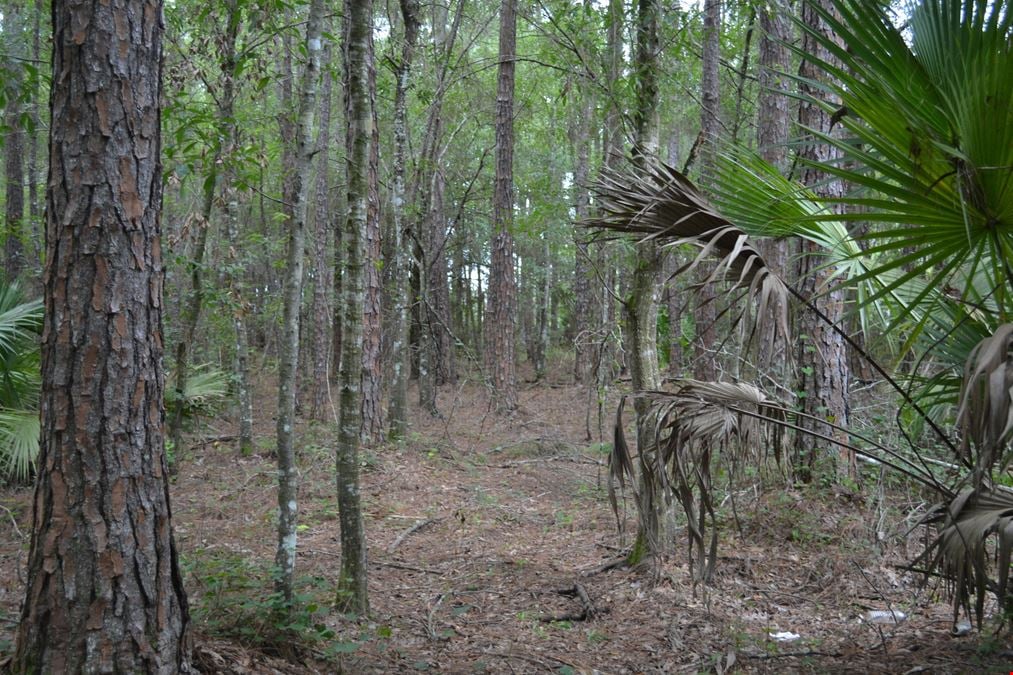 Deen Still Road Homesite