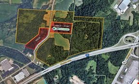 Wild Turkey Farms