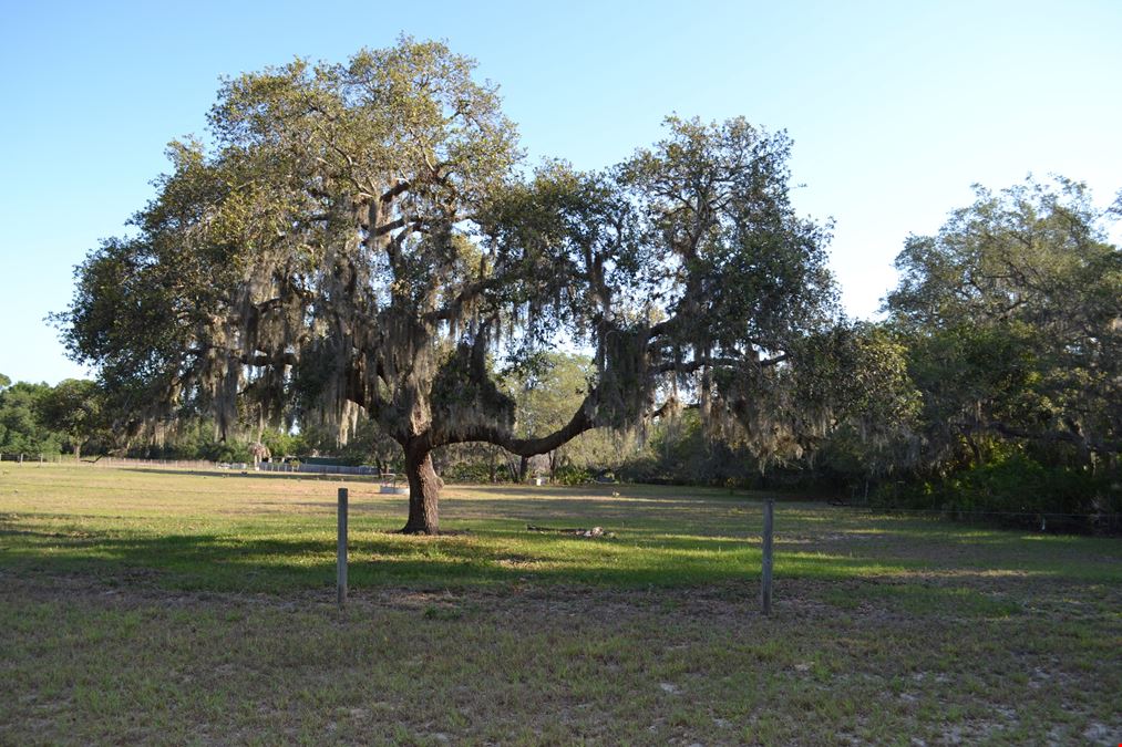 Carter Ranch - Polk County Acreage and Home