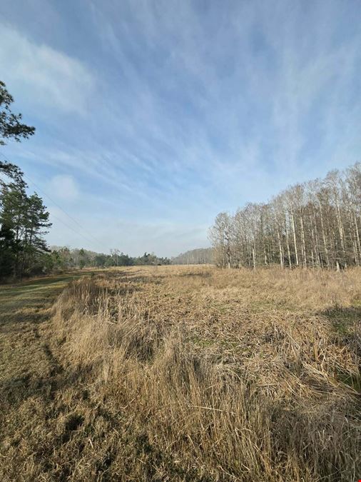 820± Acre Hunting & Recreational Property in Perry FL