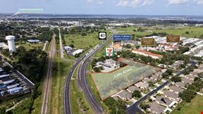 Palmetto Business 41