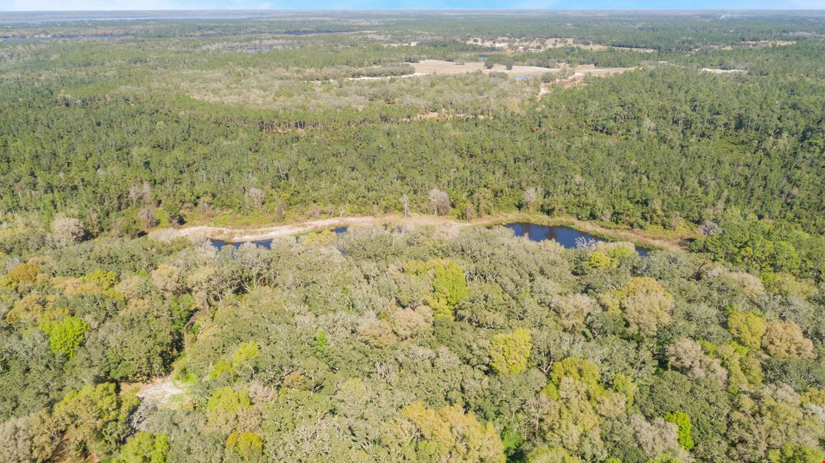 Shaw Lake Rd