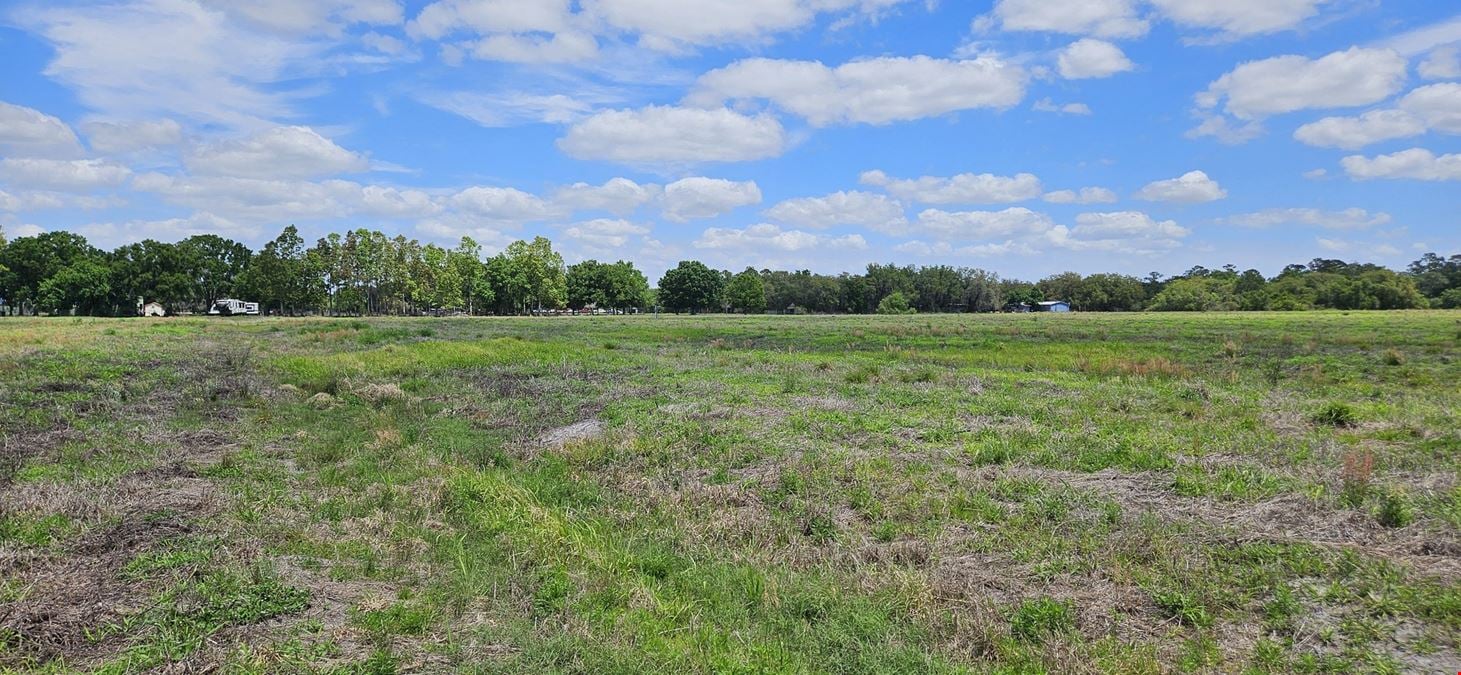 38± Acre Frostproof Grove | Residential Development or Agricultural Opportunity