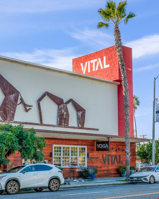 Vital Climbing Gym