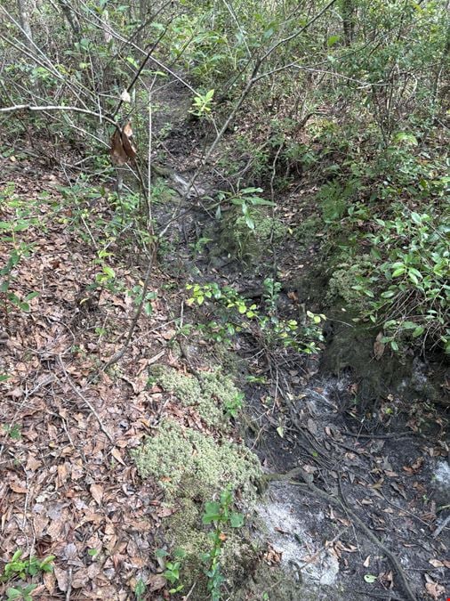 Columbia County Hunting and Recreation
