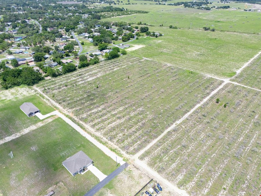 Babson Park Transitional Land