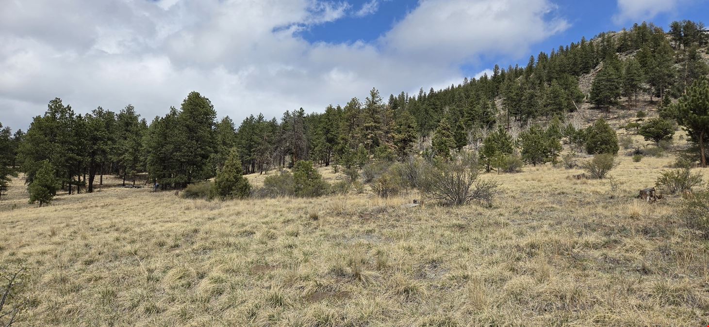 15+ Acres of Commercial Land