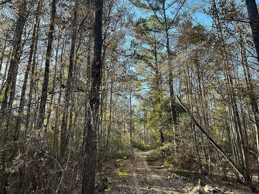 East Cotton Farm