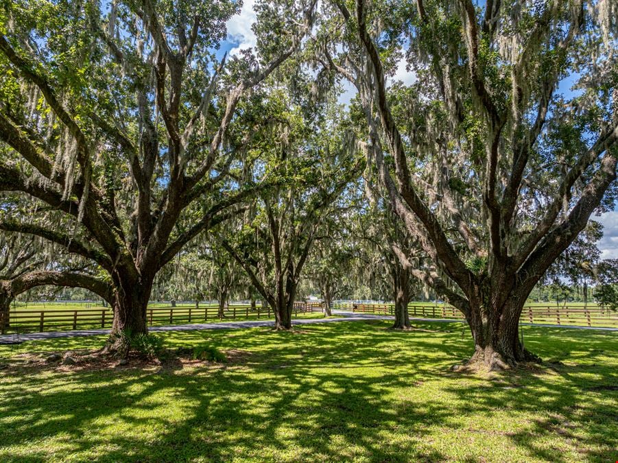 Wauchula Luxury Home & 140 Acre Ranch