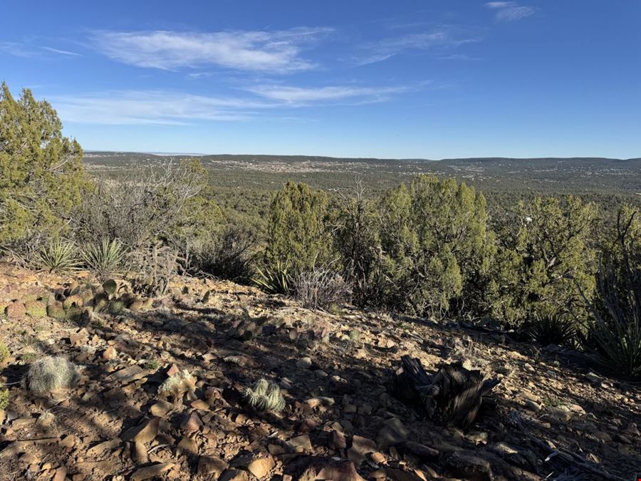 201 Pinon Trail