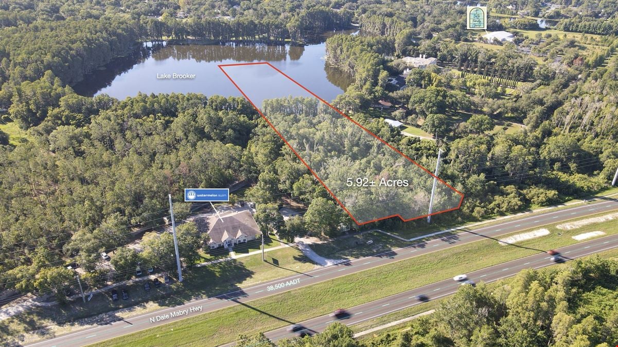 Shapiro Dale Mabry