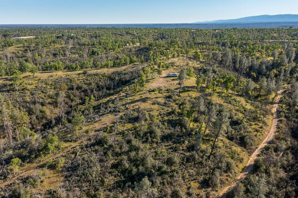 ±20 Acres of Level Land in Igo, CA