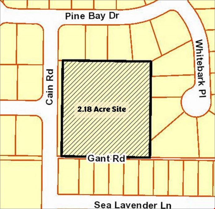 2.18 AC :: Residential land :: Citrus Park