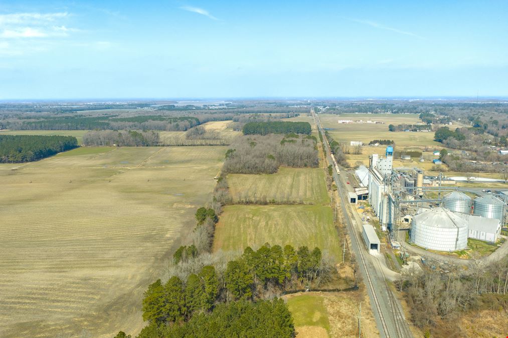 Delmar Agricultural 35.88+/- Acres