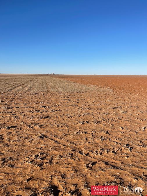 640 Acres North Lynn Co., TX 79373