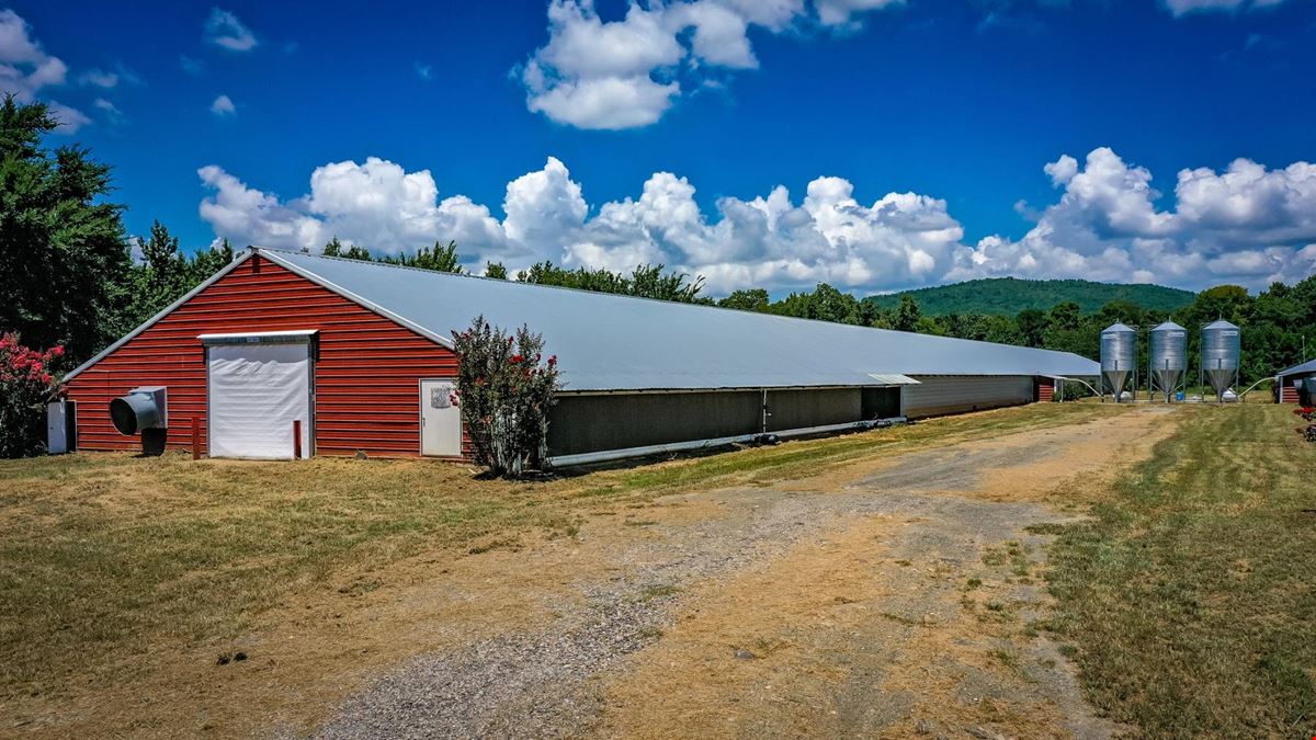 Mena AR Broiler Chicken Farm