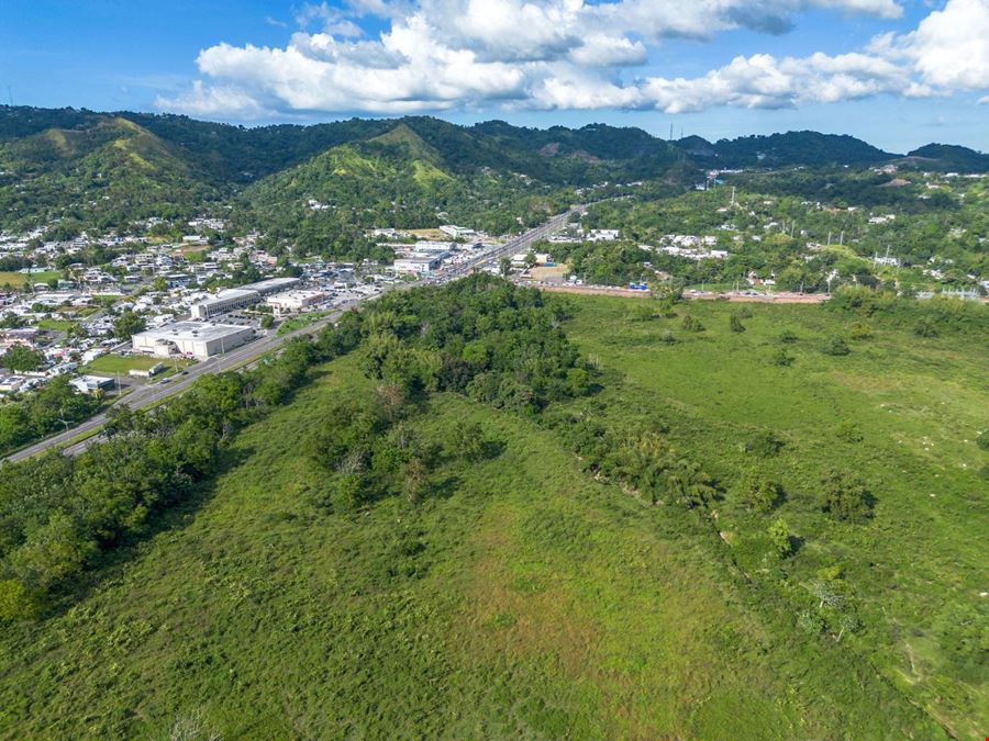 Bo Quebrada Larga, Fincas E y T Anasco