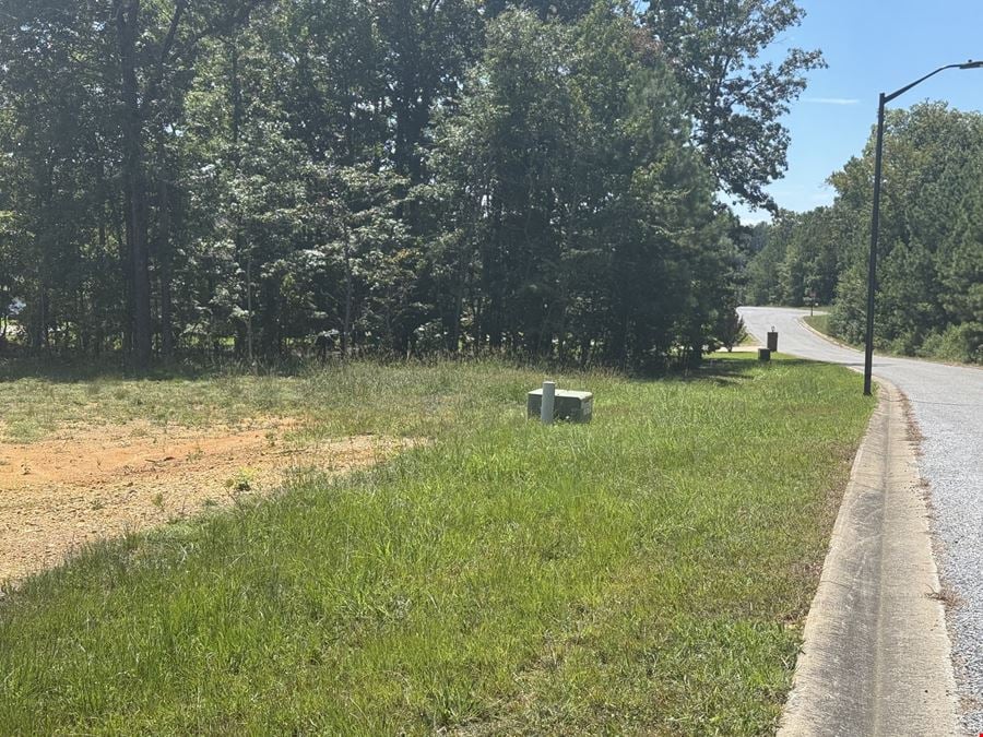 Lake Views Await: Prime Raintree Lots